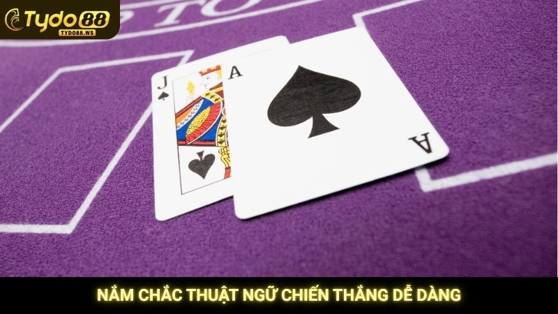 Nắm chắc thuật ngữ chiến thắng dễ dàng