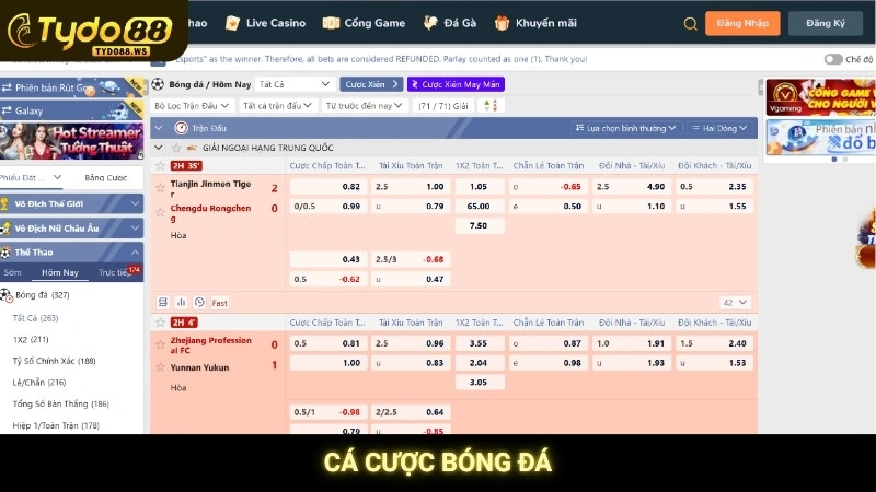Cá Cược Bóng Đá Tydo88