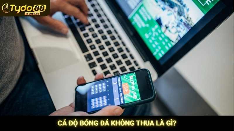 Cá độ bóng đá không thua là gì?