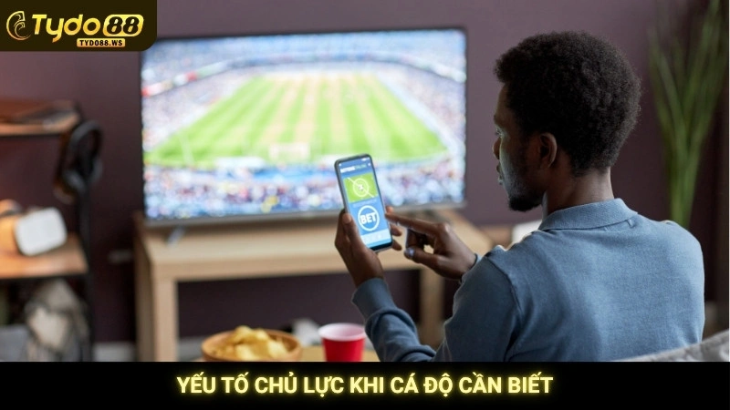 Yếu tố chủ lực khi cá độ cần biết