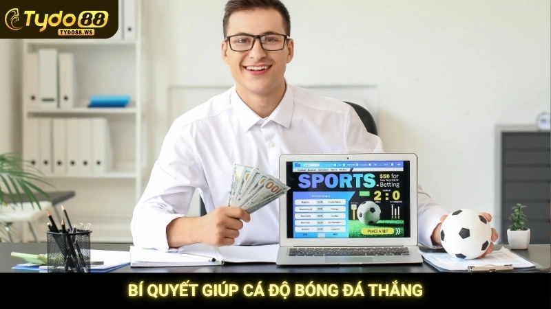 Bí quyết giúp cá độ bóng đá thắng
