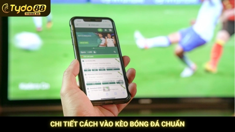 Chi tiết cách vào kèo bóng đá chuẩn