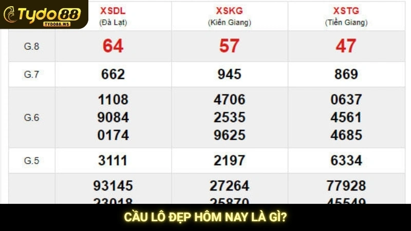 Cầu lô đẹp hôm nay là gì?