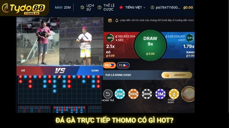 Đá gà trực tiếp Thomo có gì hot?