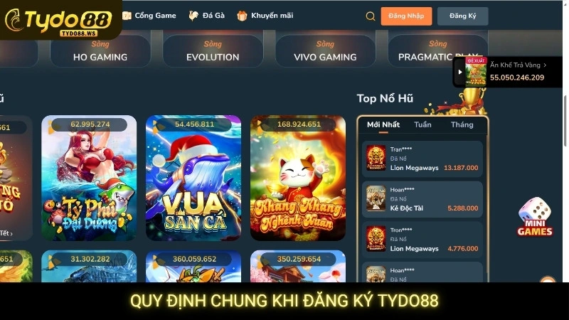 Quy định chung khi đăng ký Tydo88