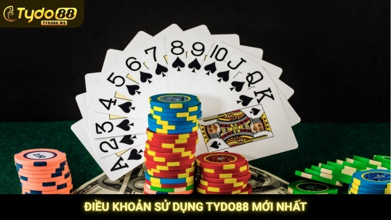 Điều khoản sử dụng Tydo88 mới nhất