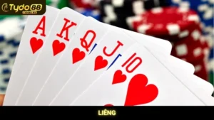 Liêng Tydo88