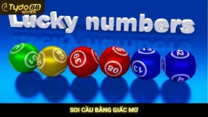 Soi Cầu Bằng Giấc Mơ