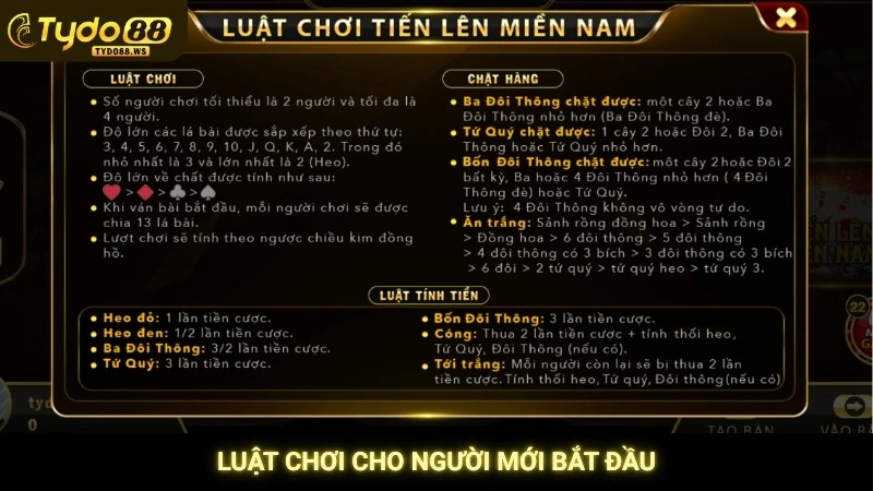 Luật chơi cho người mới bắt đầu